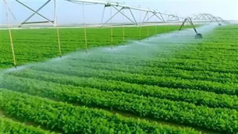 نقيب الزراعيين: توسعات تعيد خريطة مصر الزراعية