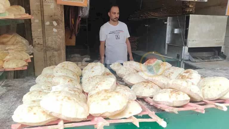 التموين تؤكد تثبيت أسعار وأوزان الخبز