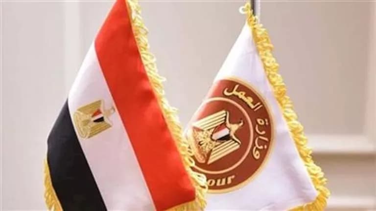 وظائف بمحطة الضبعة برواتب تصل إلى 40 ألف