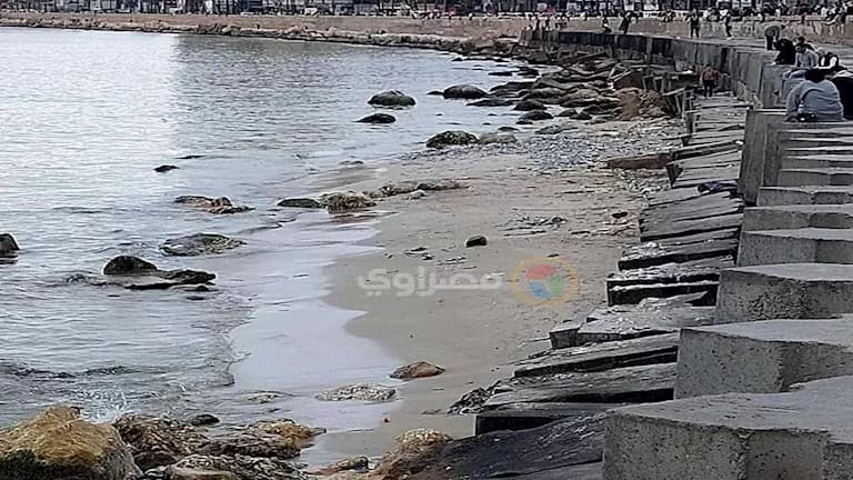 علوم البحار: أسباب انحسار مياه الإسكندرية