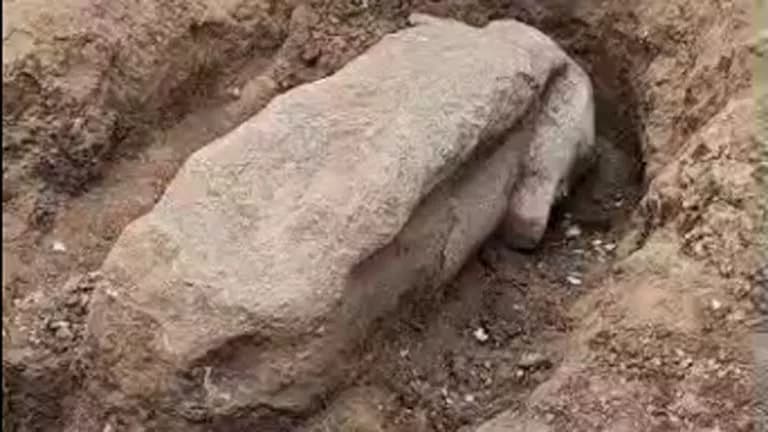 صور تكشف تفاصيل تمثال رمسيس الثاني بالغربية