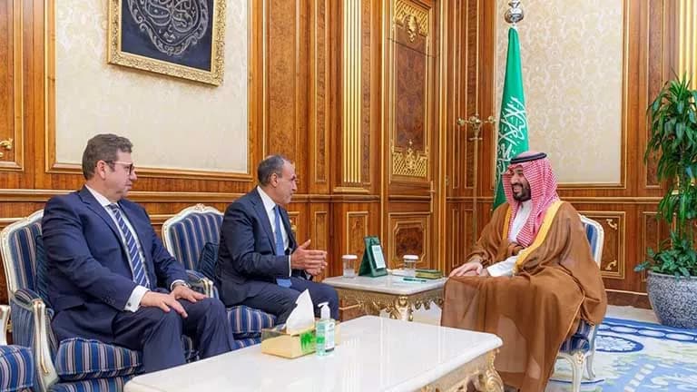 وزير الخارجية يسلم رسالة من السيسي لولي العهد