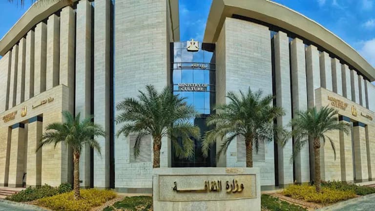 السيسي يطلق حملة مواجهة وتفتيش في 250 قرية