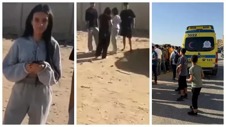 حبس طفلين من حدائق الأهرام في قضية بائعة الشاي