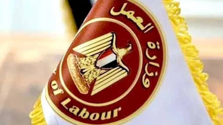 صور توثق أكثر من 2500 وظيفة برواتب تصل إلى 20 ألف جنيه