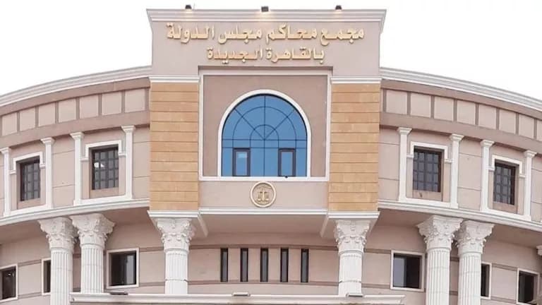 القضاء الإداري يقرر حجب روبلوكس في مصر