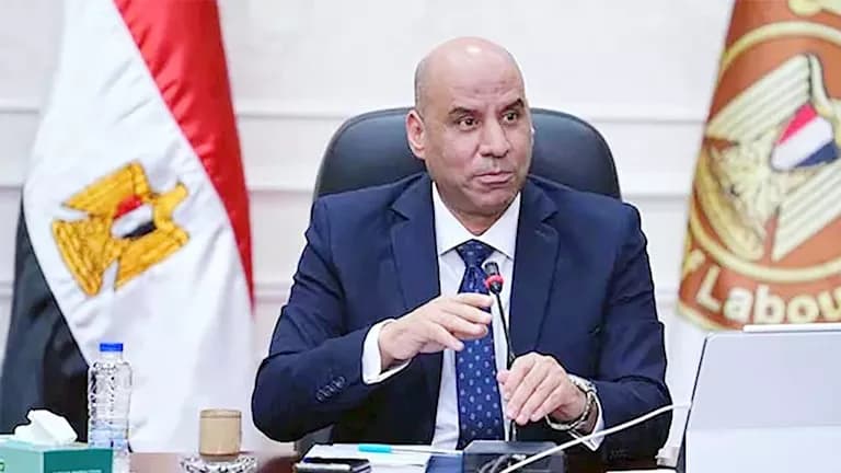 نص لائحة تنظيم عمل القطاع الخاص