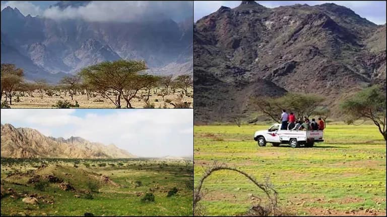 رحلة إلى محمية جبل علبة
