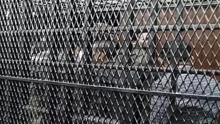 أسرة شهد تكشف عن اعتداء عمها في أسيوط