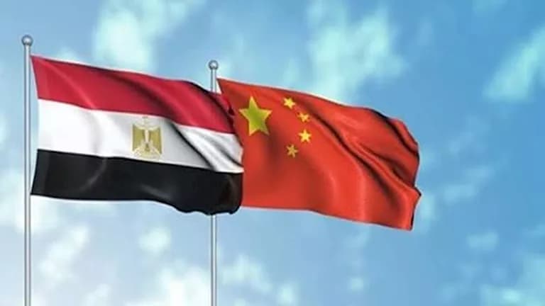 90% يؤكدون أهمية الشراكة مع مصر