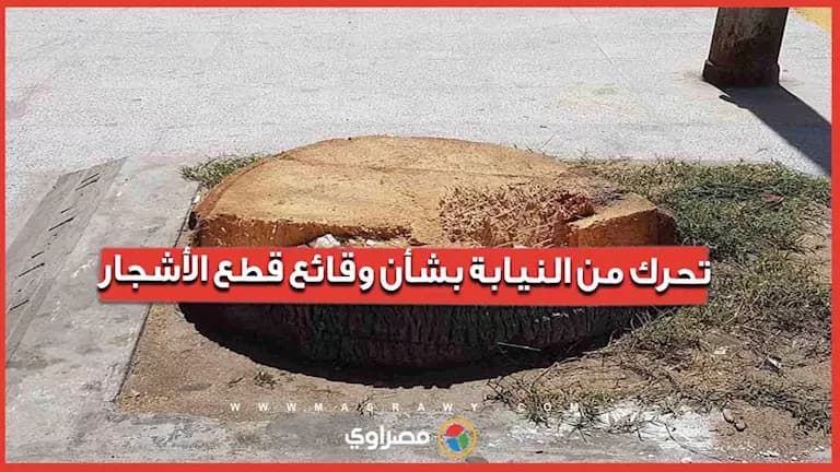 النيابة تتخذ إجراء بشأن قطع الأشجار