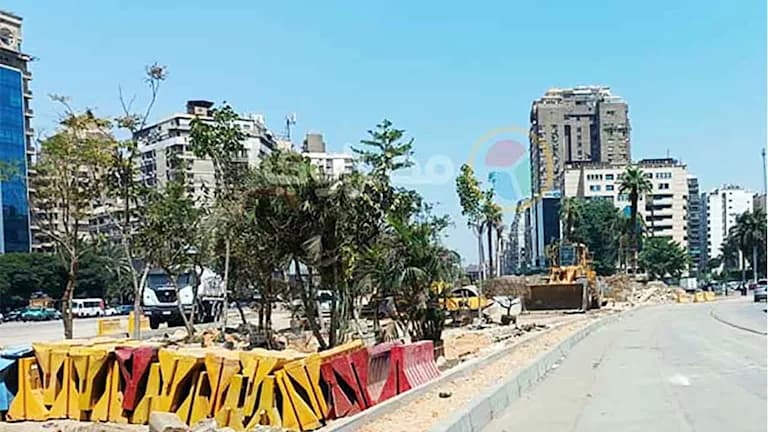 تشجير شارع جامعة الدول تبدأ بناء على توجيهات الرئيس