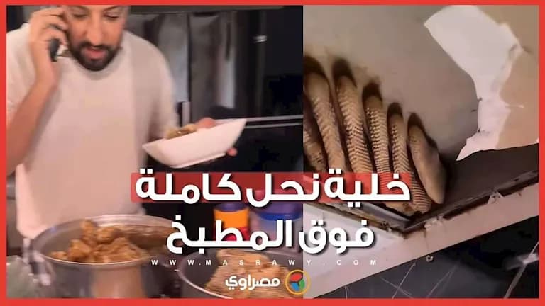 خلية نحل ضخمة فوق سقف مطبخ منذ سنوات