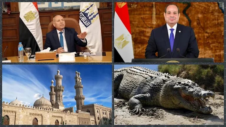 ملخص 8 ساعات: رسائل السيسي ورد الأزهر بشأن جرائم الشرف