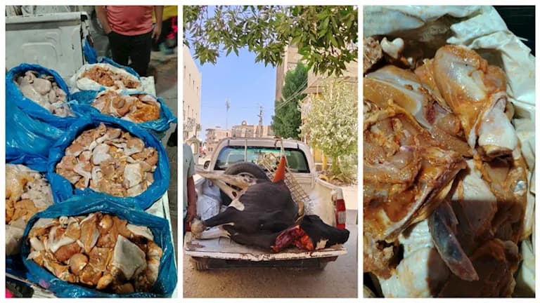 ضبط بقرة و100 كجم دجاج فاسد في الفيوم