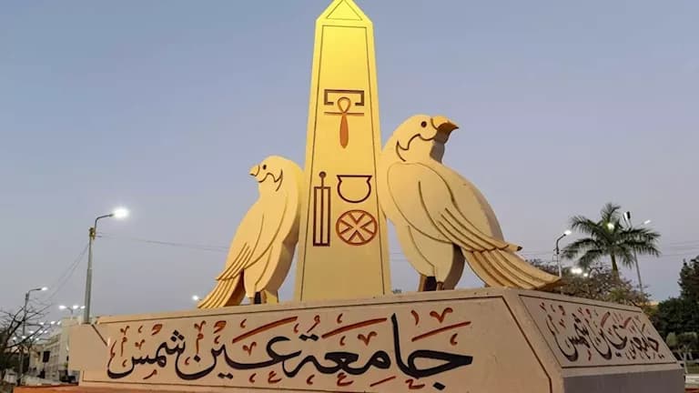 جامعة عين شمس تتحدث عن مذبحة الأشجار في كلية التجارة