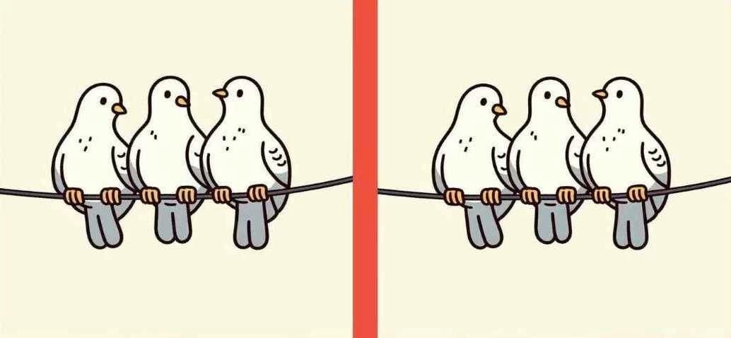 هل يمكن أن تحدد 3 اختلافات في صور الحمام