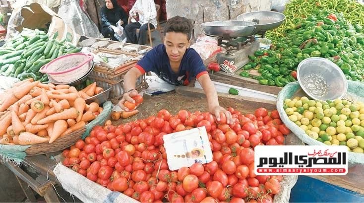 ارتفاع جديد في طماطم وأسعارها المتوقع