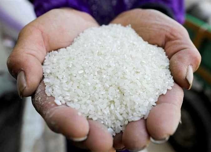 سعر الطن: أرز الشعير والأبيض اليوم