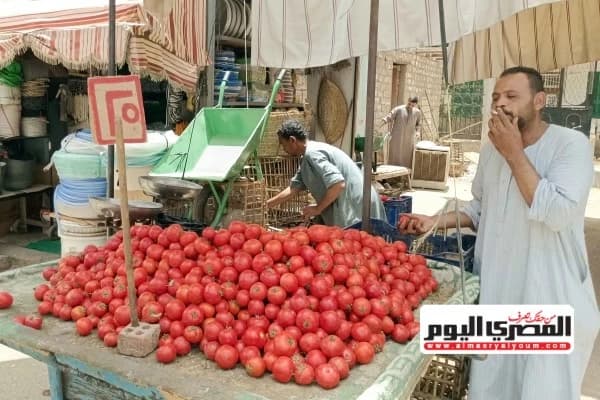 الطماطم تصل لـ50 جنيهًا.. متى ترتفع الأسعار