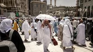 ضوابط حج السياحة 2027 وبرامج بأسعار تبدأ من 230 ألف جنيه
