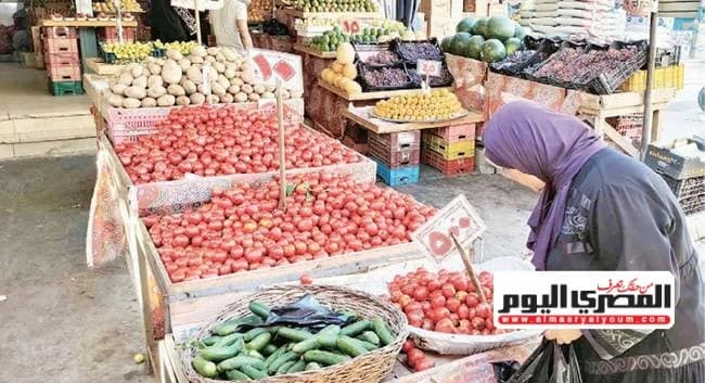ارتفاع غير متوقع في أسعار الطماطم