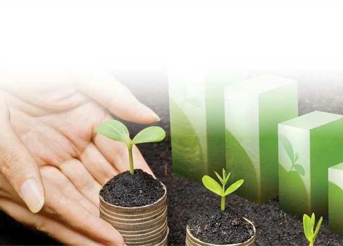 توصيات طاقة النواب لموازنة التنمية