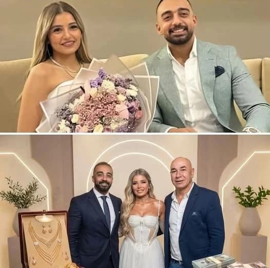 محكمة الأسرة تقضي بمليون جنيه في قضية ابنة حسام حسن