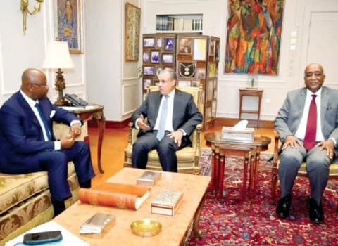 وزير الخارجية: مصر بأفريقيا أكبر من الكلام
