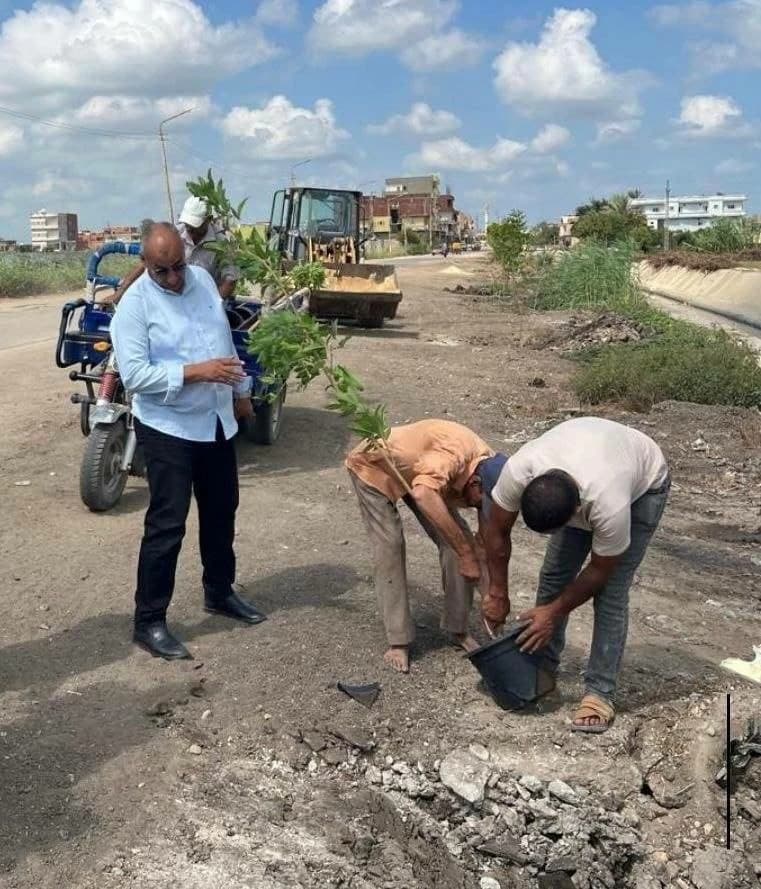 شرقية تفرض حظر نهائي لقطع الأشجار