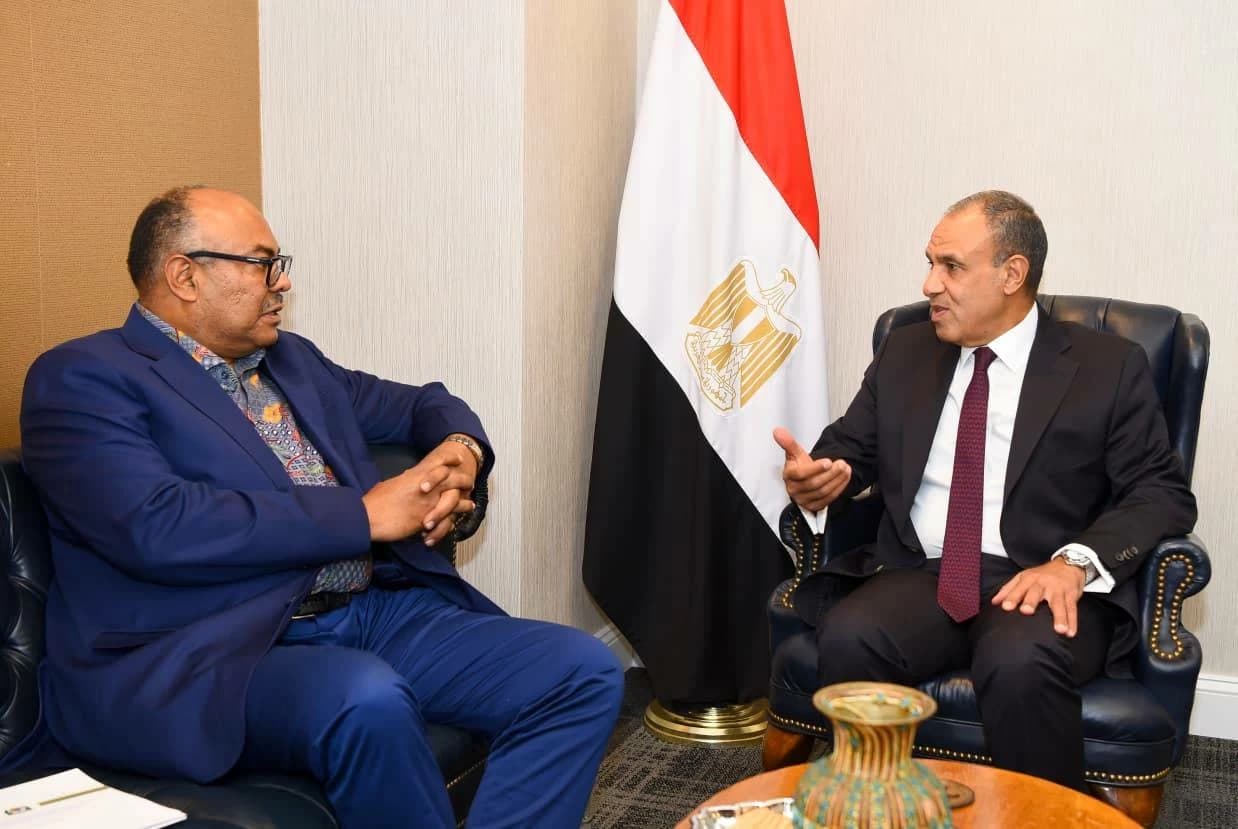 وزير الخارجية ونظيره التنزاني يناقشان تعزيز العلاقات