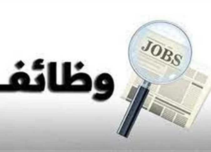 2400 وظيفة برواتب تصل إلى 40 ألف جنيه