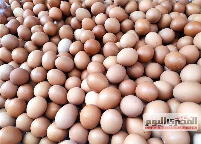 اتحاد الدواجن يعلق على سعر البيض