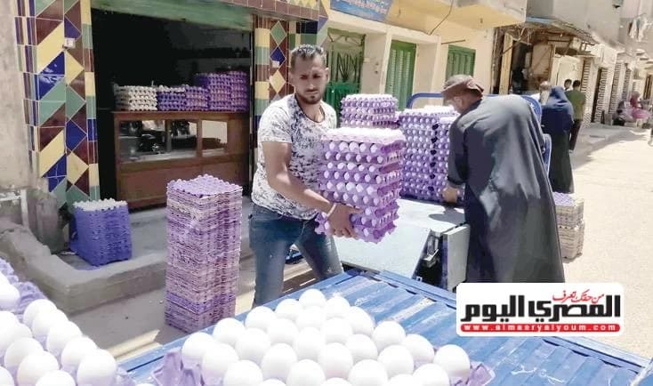 هل يعيد سعر البيض سيناريو 2022