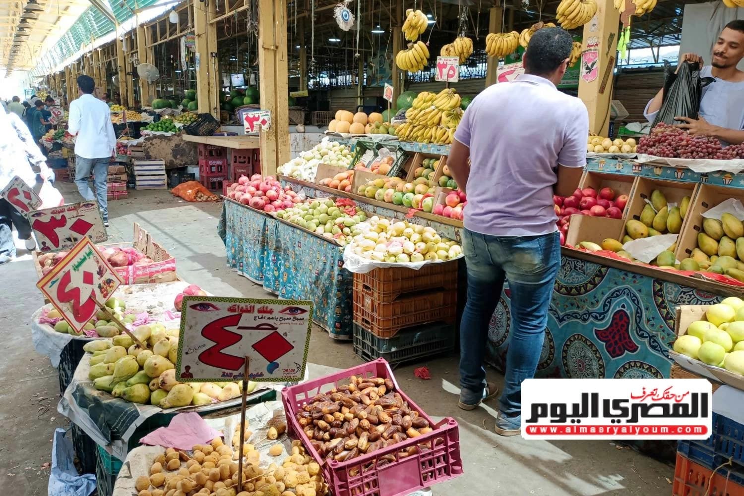 شرح حول ارتفاع الأسعار ومعروض السوق للفاكهة والخضروات