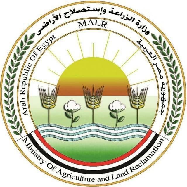 حكومة تحذر من بيع منتجات الزراعة عبر الإنترنت