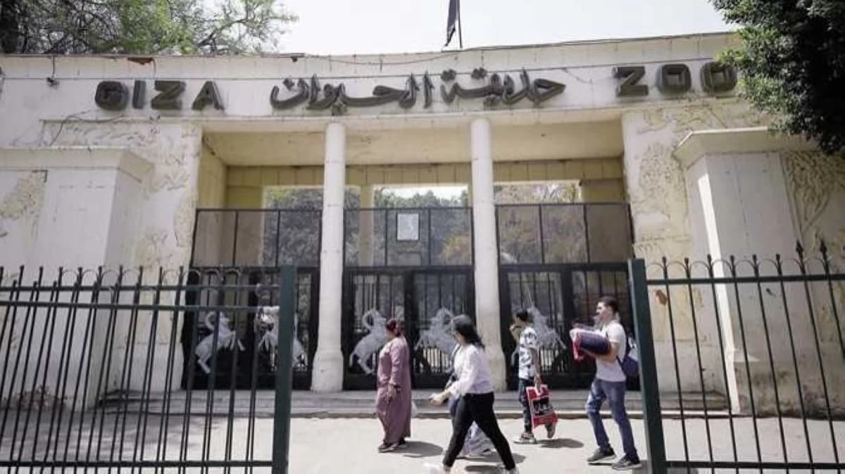 موعد افتتاح حديقة الحيوان بالجيزة قبل 2026