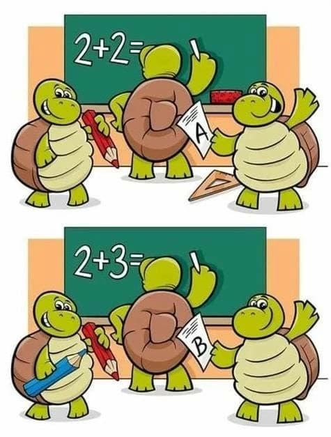 اعرف الاختلافات في لغز السلاحف