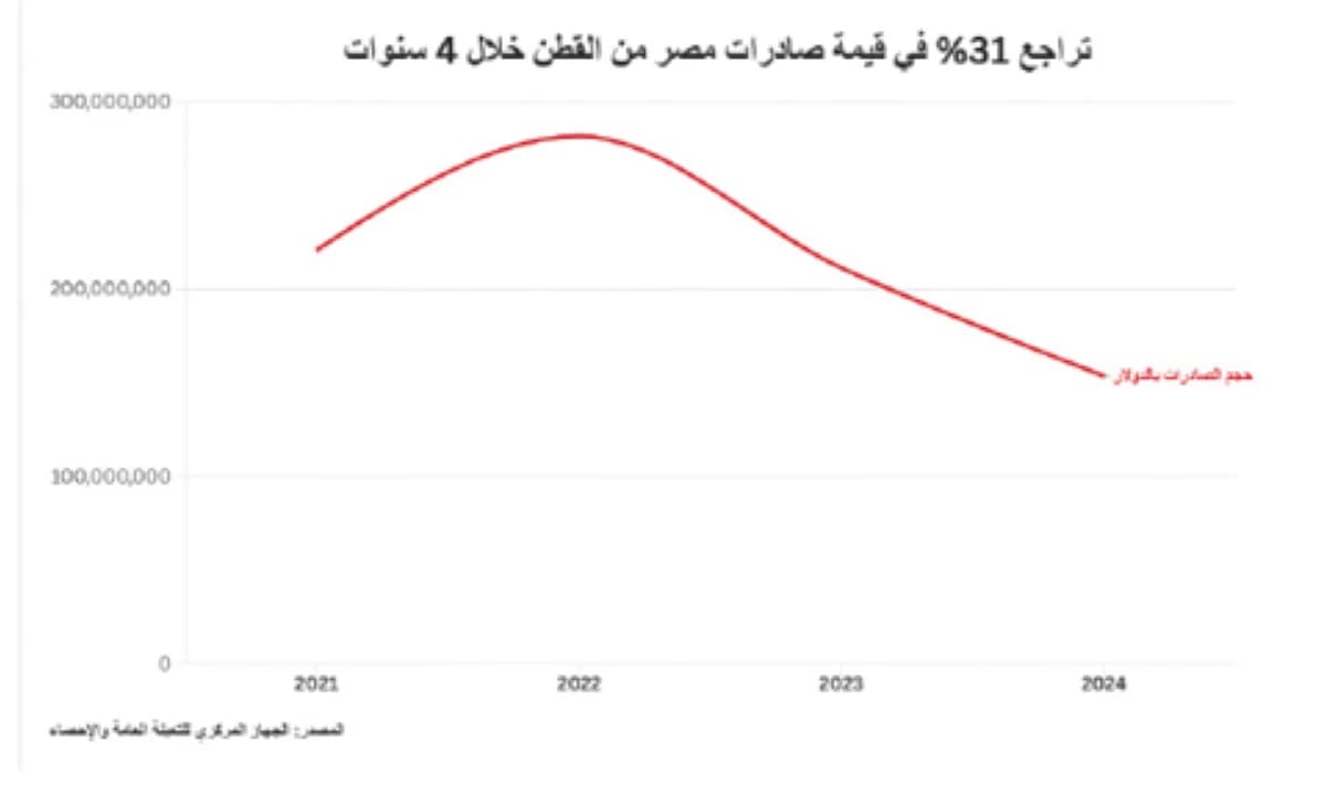 تراجع صادرات القطن خلال 4 سنوات