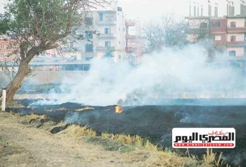 الحكومة تتعزز جهود التصدي للسحابة السوداء