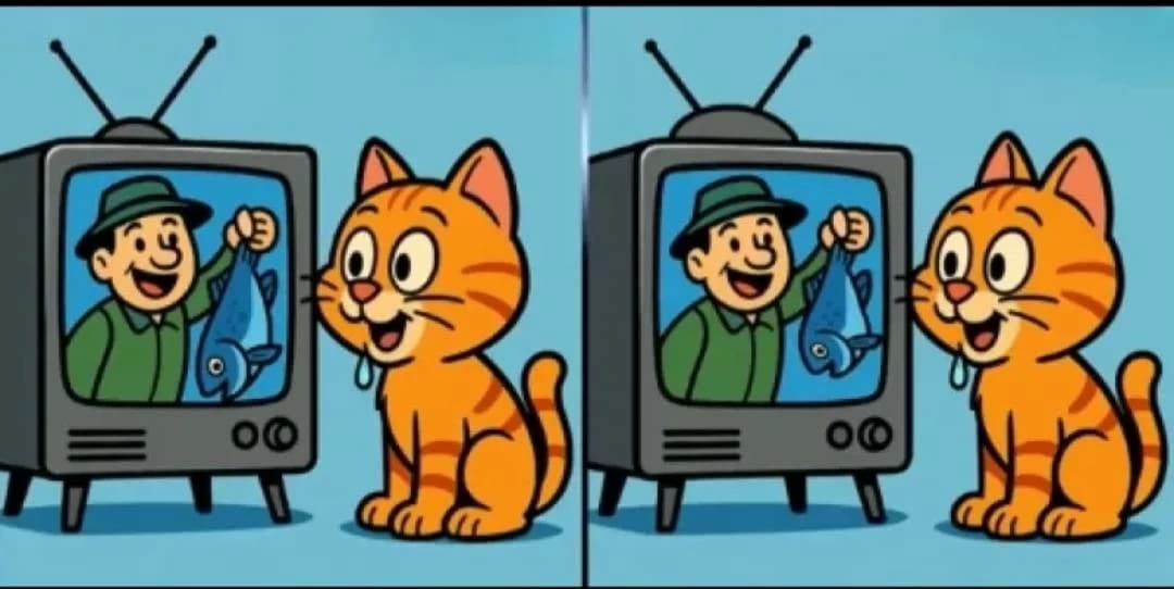 ابحث عن 3 فروقات في لغز القط والتلفزيون