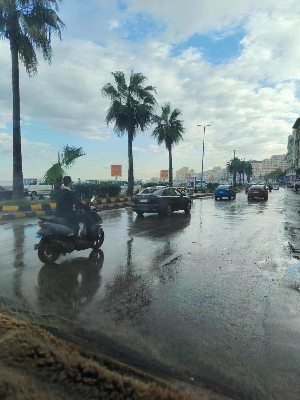 متى تتوقف الأمطار في الإسكندرية