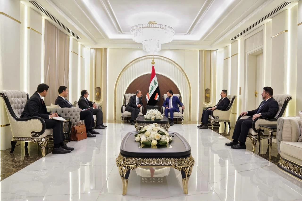 وزارة الخارجية تؤكد دعم مصر لوحدة العراق