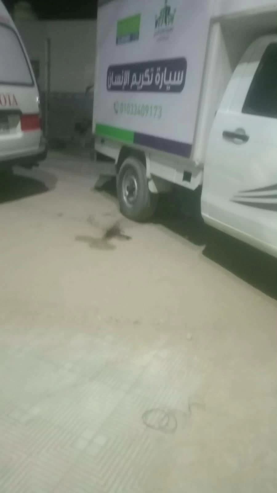 ضحايا حادث أسيوط يتسلمون جثامينهم