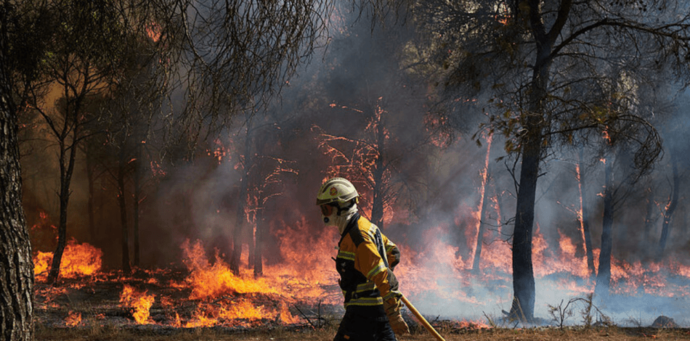Agriculture Minister's Forest Fire Alert