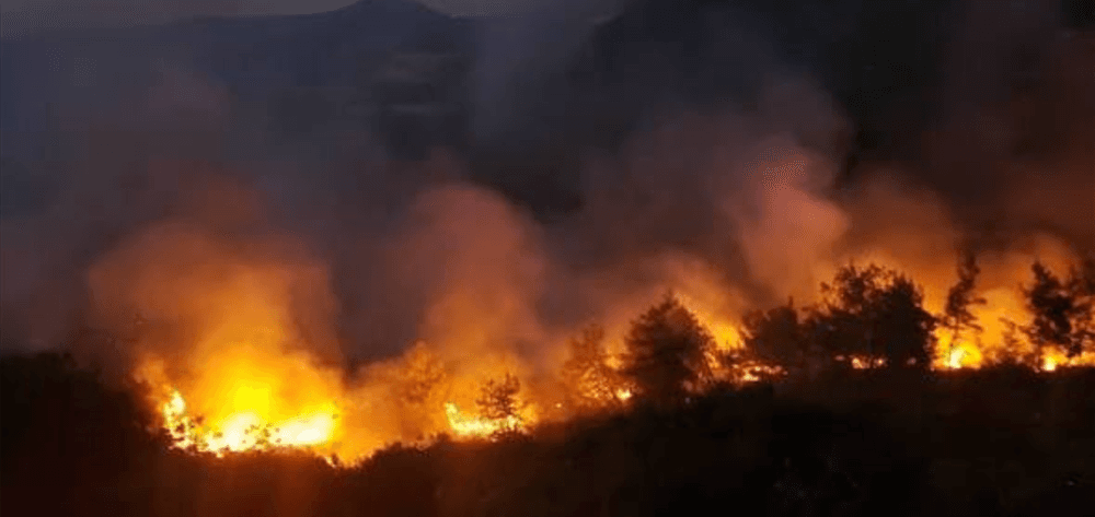 Fire in Qoubayat Forests Under Control