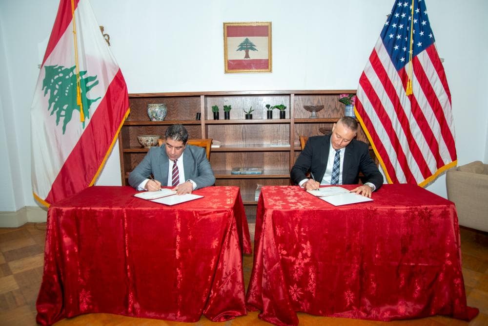 US Embassy hands over Tyre artifacts