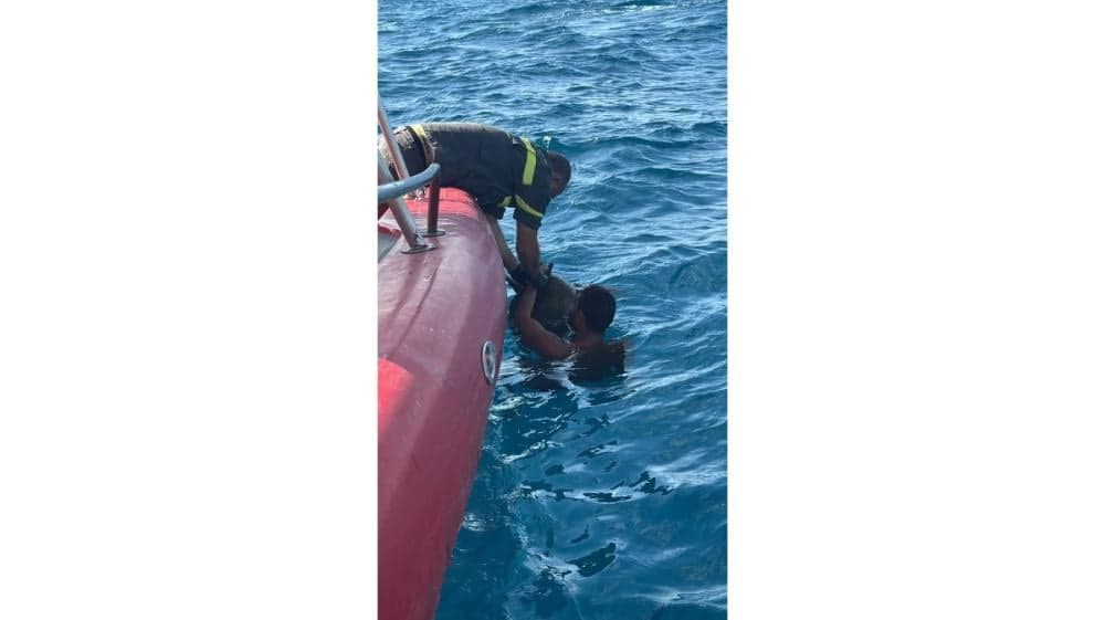 الدفاع المدني ينقذ سلحفاة في البترون