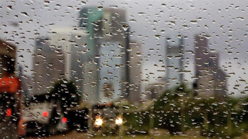 Upcoming Weather: Rain, Wind, Fog