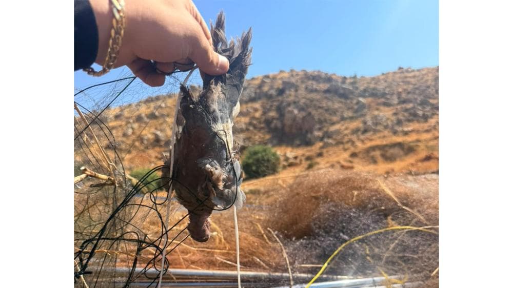 Bekaa security seizes large fishing net